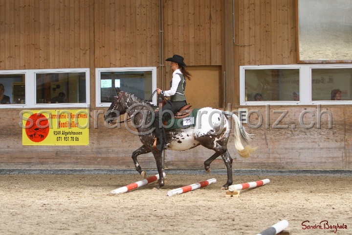28-ApHC OT_003.jpg